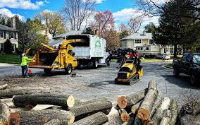 Best Aeration Services  in Biltmore, TN
